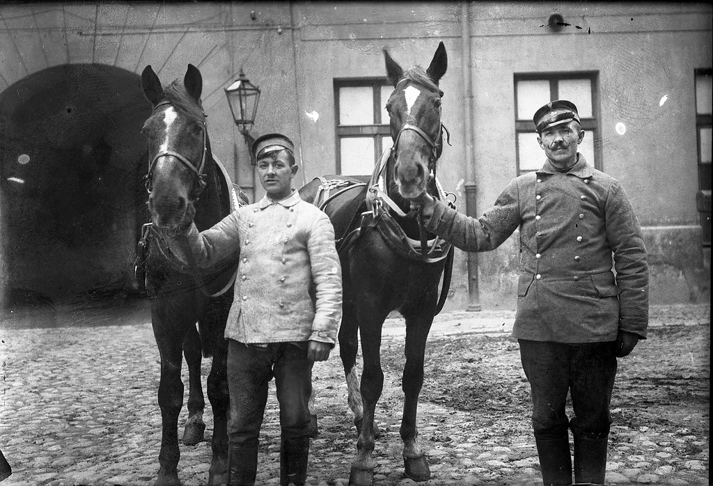 II Oddział Straży Ogniowej w Ratuszu, 1915-1917, dwa konie do drabiny "Magirus" (jeden nazywał się Cudny) (C) Archiwum Rodziny Rychterów